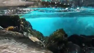 Nature Beauty 4