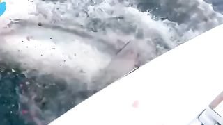 الله اكبر????????????????shorts #virl #viralvideos #foryou 16