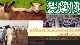 Eidul azha 2023 in ksa  yanbu with jungha travelling