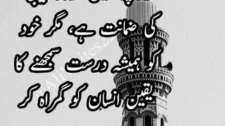 Aqwaal e zareen in urdu 2
