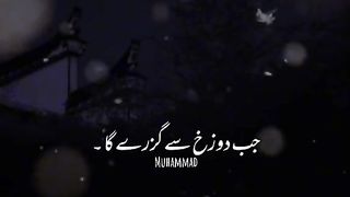 Behtareen Ummah❤