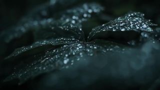 4k landscape