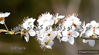 VID-20230703-WA0006.