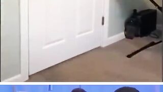 try noy to laugh