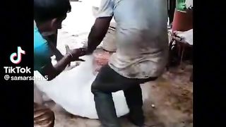 Funny video spot me bhai log 186