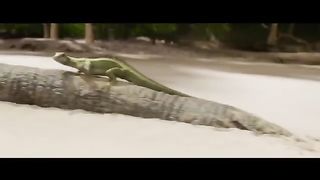 MEG 2- The Trench new movie Trailer 2023