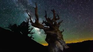 4k HD landscape video 4