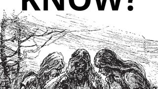 DID YOU KNOW? Test your knowledge with the topic "GORGON SISTERS".