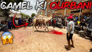 Dangerous Camel Ki Qurbani | Camel Bhaag Gaya ???? !!