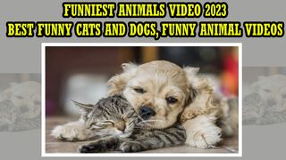 Funniest Animals Video 2023 | Best Funny Cats and Dogs | Funny Animal Videos 2