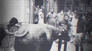 Part 2 Angry Bull Qurbani Full Video