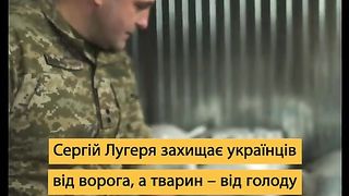 КАКВИ СА  УКРАИНСКИТЕ ВОЙНИЦИ ?