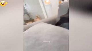 Random Funny Videos _Try Not To Laugh Compilation _ Cute People And Animals Doing Funny Things
