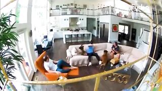 Funny pets 10