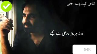 Ik tera hijar daimi h muje Tehzeeb Hafi