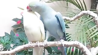 What a beautiful loving couple
