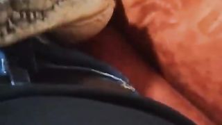 Adorable Crocodile Wants Cuddles! 2