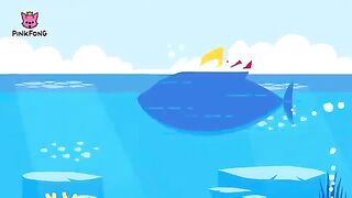 Bébé Requin Danse | Chante et danse ! | Chants d'animaux | PINKFONG Chansons pour les enfants