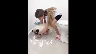 New Funny Animals ???? Funniest Cats and Dogs Videos ???????? 4