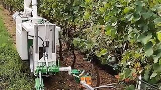МЕХАНИЗАЦИЯ В СРЕДНИ ЛОЗОВИ МАСИВИ