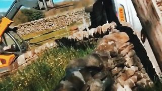 Unexpected funny cases