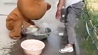Quelle pastèque Mangez vous par une chaude journée
