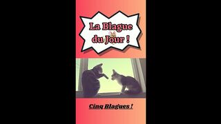 chat alors