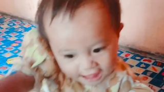 Aulia