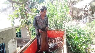 CATFISH CAGES PREPARATION