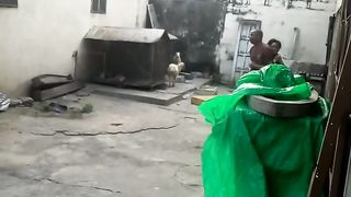 Awesome1