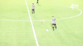 Funniest moments with animals on the football field