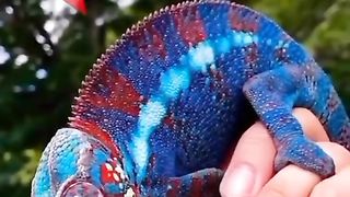 اللہ اکبر ???????? #shorts #viral #ytshorts #
