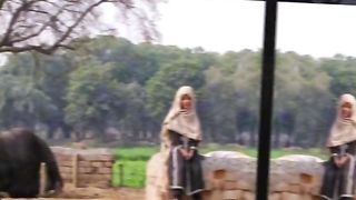video 150