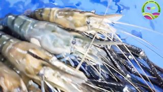 Shrimp farming in India it is profitable