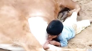 Best funny moments ???? uz prikol