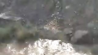 Fish Farm in the Mountains