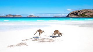 Lucky Bay Beach