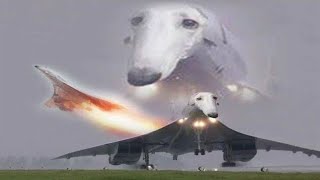 2023 !!! CRAZY UNUSUAL MEMES COMPILATION VOL 7