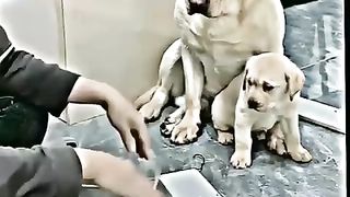 entertainment compilation 179