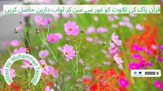 Surah Al-Asr - A Timeless Reminder of the Essence of Faith and Good Deeds Full ||BY Qari Sheikh Abdur Rehman