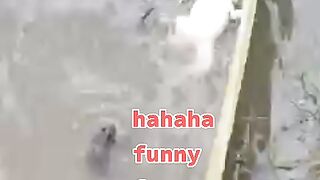 Funny forge ????????