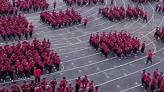 Deciplne like this