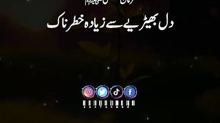 Dil behrya sy zeada katrnaak