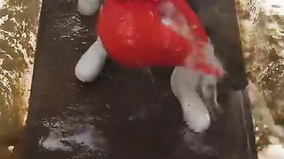 entertainment compilation 189