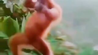 Monkey Funny