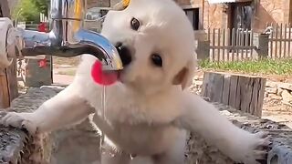 So cute ???? 3