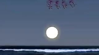 Beautiful nature 27
