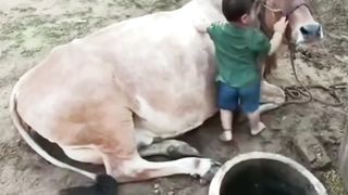بچے من کے سچے 2