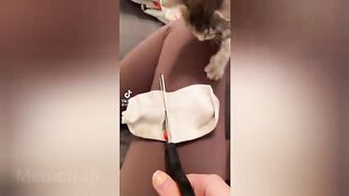 The funniest TikTok# memes????