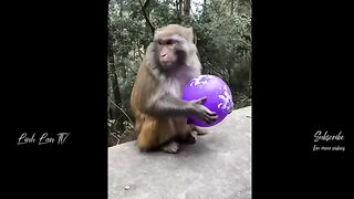Funny Moment
